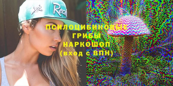 стаф Нея