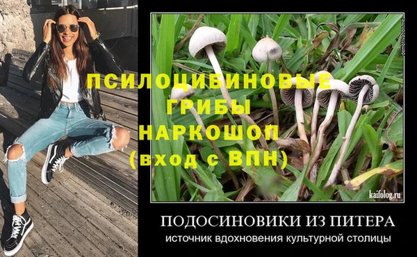 дмт Новокубанск